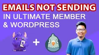 Fix WordPress + Ultimate Member Email Issues in Just 10 Minutes