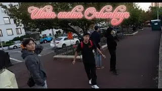 suldeegiin vlog