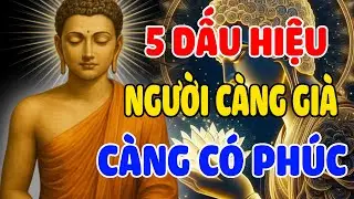 XEM NGAY! 5 Dấu Hiệu Vi Diệu Minh Chứng Cho Thấy Càng Lớn Tuổi Càng Có Phúc Báu Càng An NGHE ĐỂ BIẾT