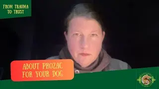 What does Prozac for your dog.