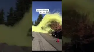 Clips YOU Weren't Meant To See 😳 #Shorts - @InterestingDaily