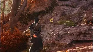 Assassin's Creed Shadows - Location: Riddle Of The Sakura In Yamashiro