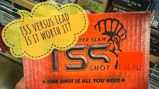 Budget friendly TSS vs Lead.  Mossberg 940 Turkey pro short barrel.