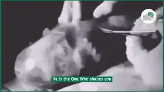 Nothing is Hidden From Allah - Abdulrahman Mossad