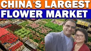 CHINA'S World Class FLOWER MARKET VISIT. #sumeetjain #chinatravel #indianinchina