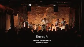 Bicho de Pé - Onde o Xaxado Esta / Expresso 2222