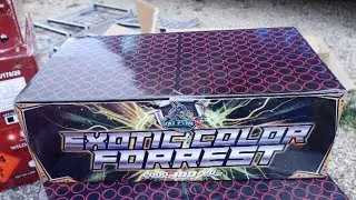 RUBRO (TNT PYRO) - EXOTIC COLOR FORREST (NEUHEIT 2020)