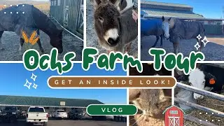 Ochs Farm Tour🐴🐄🐥Vlog With A STABLE LIFE