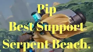 Paladins Pip Best Support.