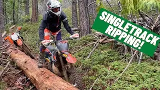 White Pines / Interface OHV - Singletrack Ripping