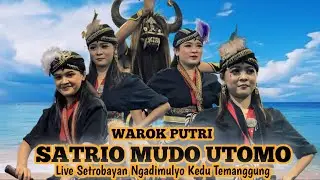 Warok Putri || Satrio Mudo Utomo. Live Setrobayan Ngadimulyo Kedu Tmg