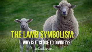 The Lamb Symbolism: Why Is It Close To Divinity?