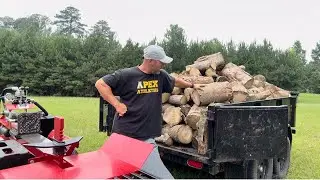 Splitting &ldquo;Holly&rdquo;Wood For The First Time
