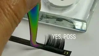 Lash Artist Problem