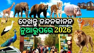 ଦେଖନ୍ତୁ ନୂଆ ରୂପରେ ନନ୍ଦନକାନନ, nandankanan zoological park, nandankanan 2026, nandankanan zoo, tiger