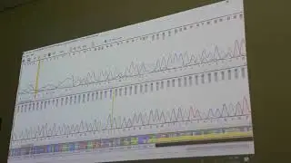 Treegraph bioinformatika
