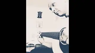 Листья на ветру(фрагмент) - Leaves in the wind (fragment) - Акустическая гитара - Acoustic guitar