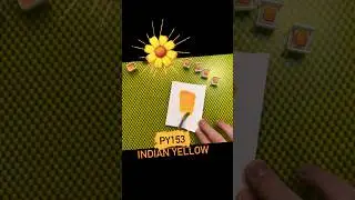 Indian yellow #pigment #handmadewatercolors