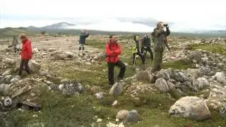 Moskussafari på Dovrefjell