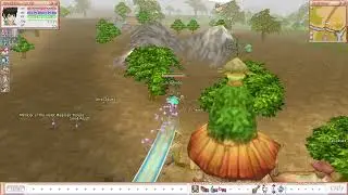 Flyff The Forgotten Dungeon in Flaris Krrr the quest by Scrutinize