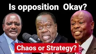 Is opposition doing well or doing bad?