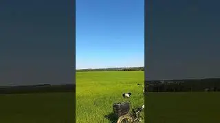 Russian Nature on A Warm Day