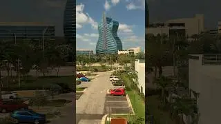 @Dolce by Wyndham Hollywood FLA