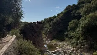 PAPAGAYOS P2(camino secreto)