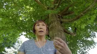 The Stress of Fear and Survival - The Undefined Spleen Center - Human Design