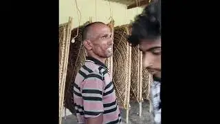 SERICULTURE PROJECT