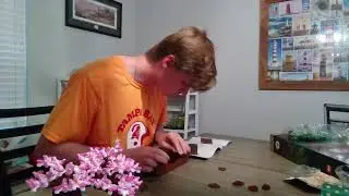 Lego Livestream 2 !!! (Bonsai Tree Edition) w/ Live Q&A