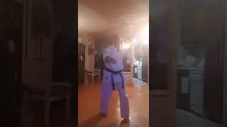 Goju-ryu Karate-Do shoreikan fukyu katas