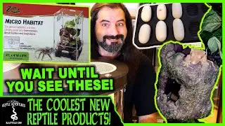 COOLEST NEW REPTILE PRODUCTS!