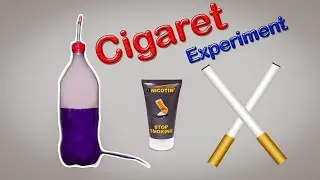 Cigarete Experiment | One Cigarette Effect on your Lungs | Brother Experiments
