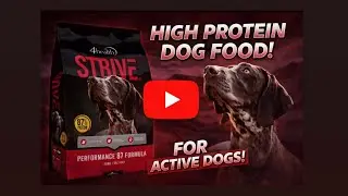Обзор корма для собак STRIVE PERFORMANCE 87 FORMULA