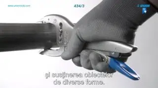 Program Unior - Clesti menghina