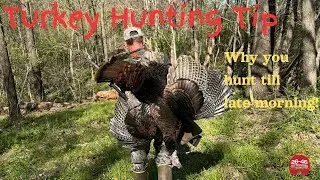 Turkey Hunting Tip: Why you hunt till late morning.