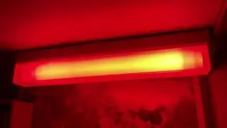 Red Fluorescent Lamps. #shorts