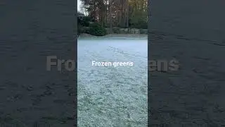 A couple years ago when the greens were frozen
