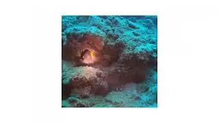 Mersin Aydincik Scuba Diving