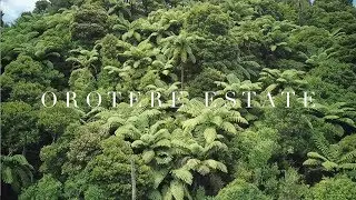 Orotere Estate  - Lifestyle Block 30 acres New Zealand SOLD