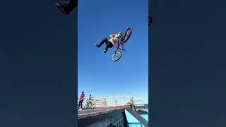 Insane BMX Tricks | Skatepark !!