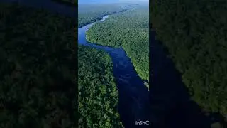 Amazon jungle ka rahasya #storyofamazonjungle #amazonjungle