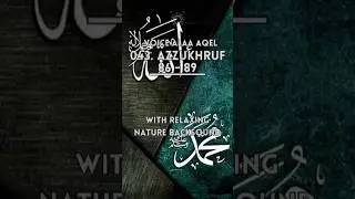 043. Az Zukhruf 86 - 89 syeikh Alaa Aqel with relaxing nature backsound #alquran #juz25 #azzukhruf