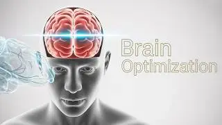 Simulated Cognitive Hyper-Stimulation for Advanced Focus & Task Execution