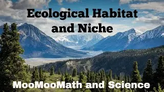 Biological Niche and Habitat