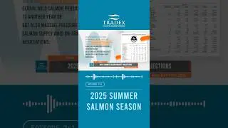 3MMI - 2025 SUMMER SALMON SEASON, STRONG ALASKA HARVEST, RECORD LOW GLOBAL SUPPLY #seafood #salmon