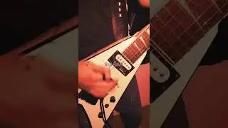 𝔈𝔳𝔦𝔩 ℌ𝔞𝔴𝔨 - Toxic skull