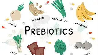 Probiotics & Prebiotics: Guardians of Your Gut | The Power of Human Nutrition and Dietetics
