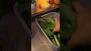 Weekly Food Prep Classic Plus Container LocknLock